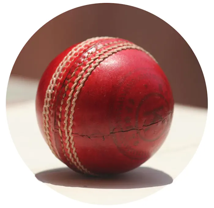 Cricket Ball Image